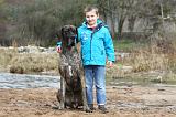 ENFANT ET CHIEN 210